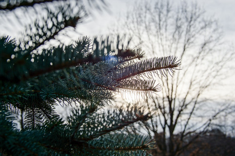 20231225-DSC01818.jpg