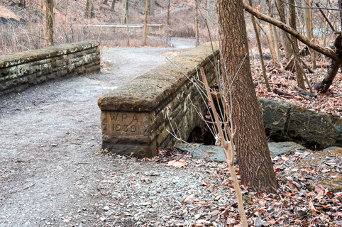 DSC01152.jpg